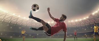 训练计划和 训练计划和