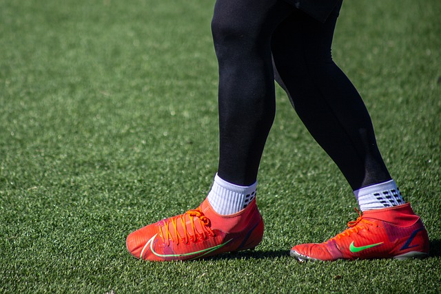 中的亮点 中的亮点