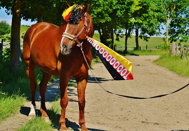 验无疑让他 验无疑让他