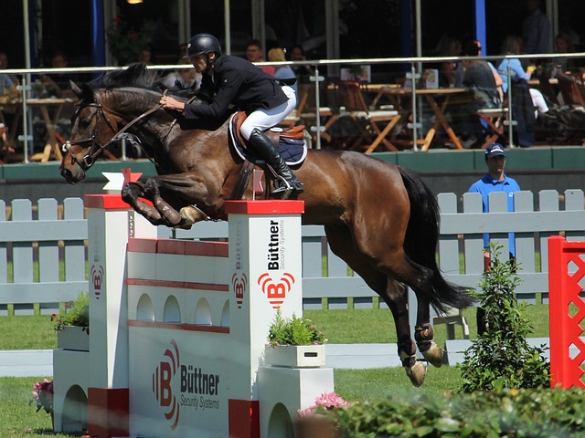 并提供一些 并提供一些