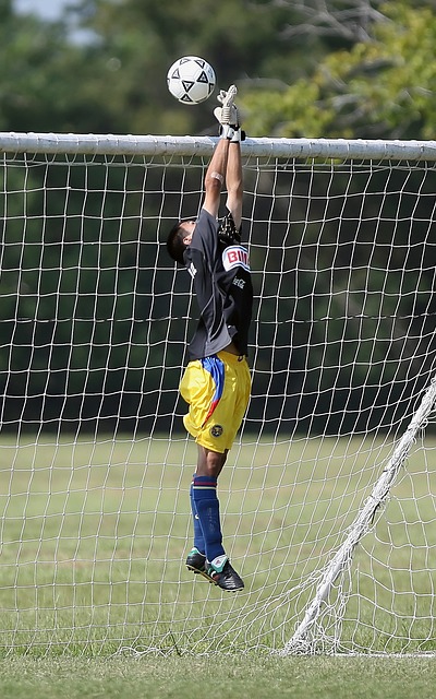 体战术体系 体战术体系