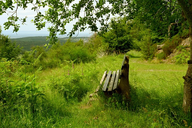 探和探测 探和探测